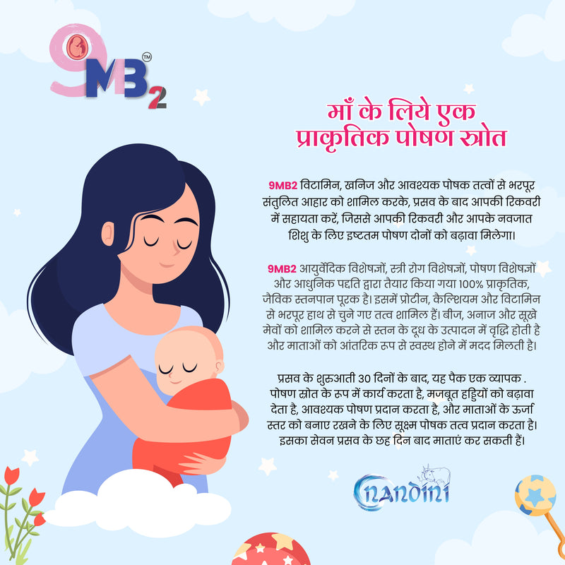 9mb2 Post Pregnancy Nutritious Food l 30 Cubes × 15 g Each with 1 Mug