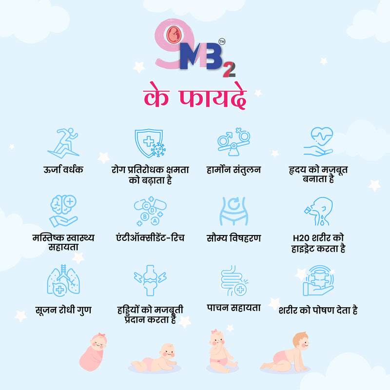 9mb2 Post Pregnancy Nutritious Food l 30 Cubes × 15 g Each with 1 Mug